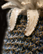 Images Shw1200-0481_11.jpg